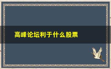 “高峰论坛利于什么股票上涨